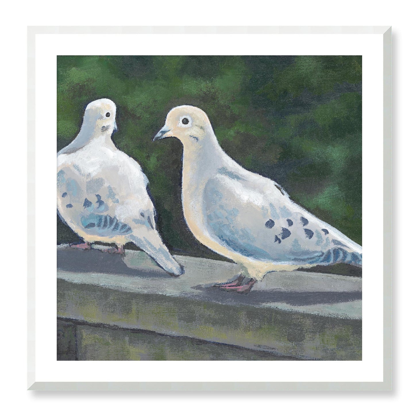 Framed Fine Art Print, White Mat - 12x12 16x16 20x20 24x24 28x28 32x32 36x36 40x40 inches | Mourning Doves in Acrylic, FPS-1000-1125, Prints, Fine art, White Frame, 81 x 81 cm ,32 x 32 inches