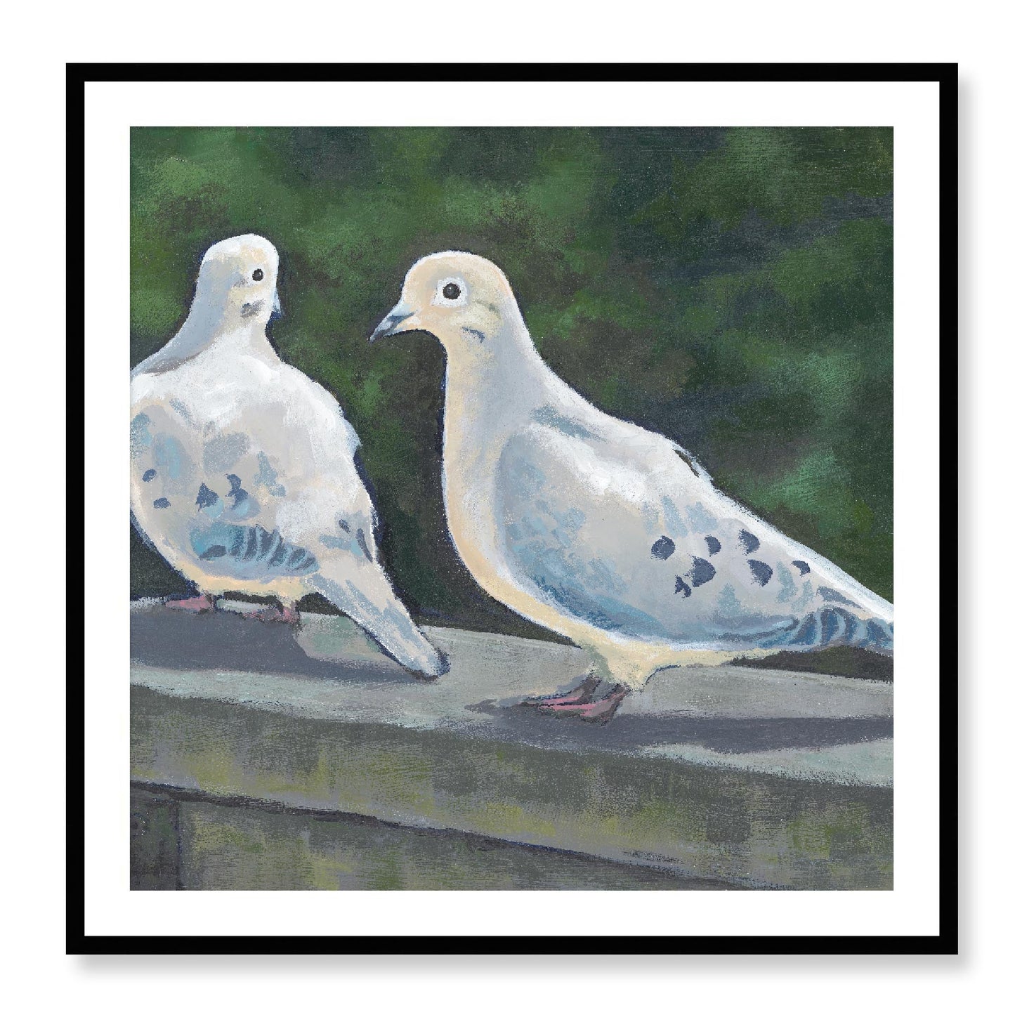 Framed Fine Art Print, White Mat - 12x12 16x16 20x20 24x24 28x28 32x32 36x36 40x40 inches | Mourning Doves in Acrylic, FPS-1000-1125, Prints, Fine art, Black Frame, 91 x 91 cm ,36 x 36 inches