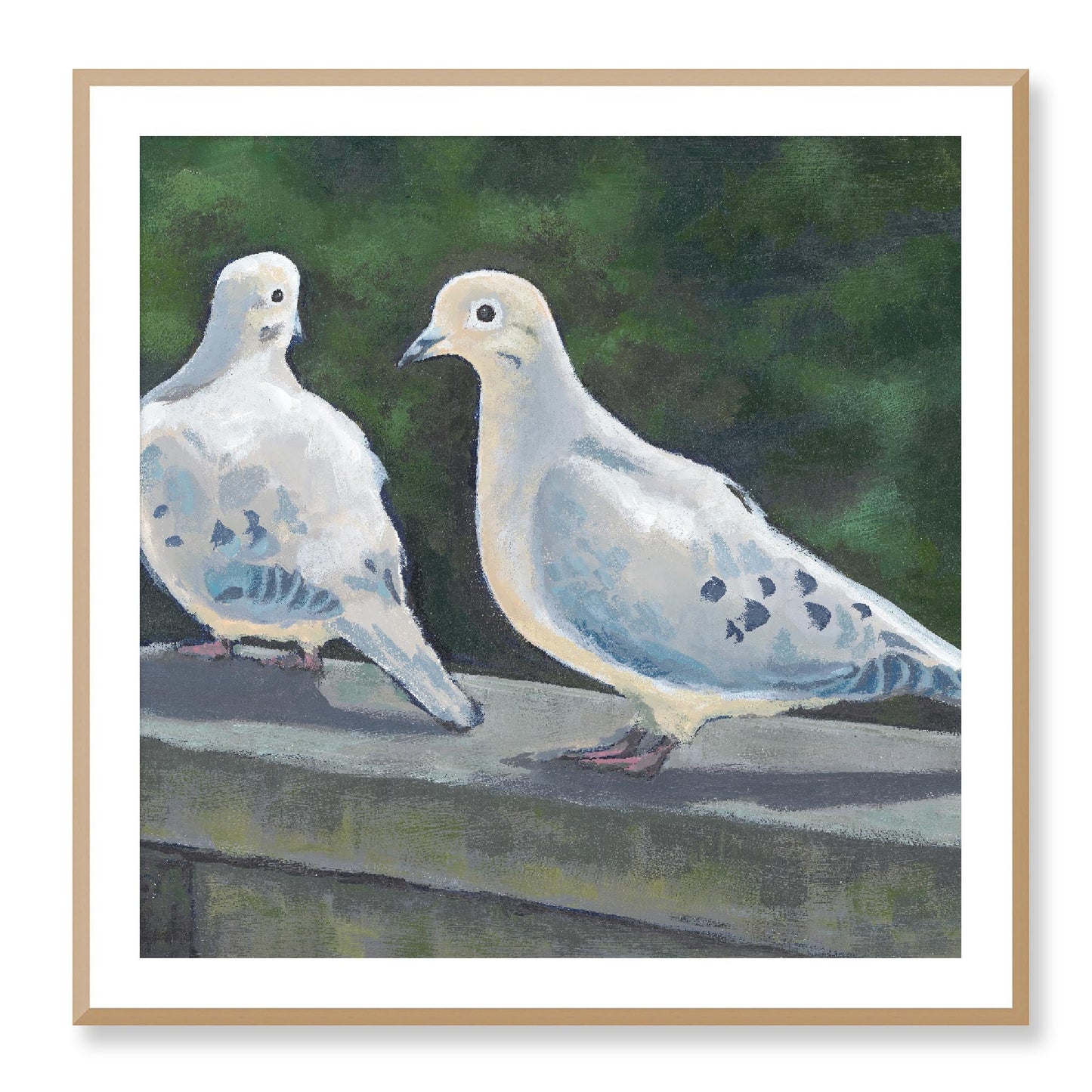 Framed Fine Art Print, White Mat - 12x12 16x16 20x20 24x24 28x28 32x32 36x36 40x40 inches | Mourning Doves in Acrylic, FPS-1000-1125, Prints, Fine art, White Frame, 91 x 91 cm ,36 x 36 inches
