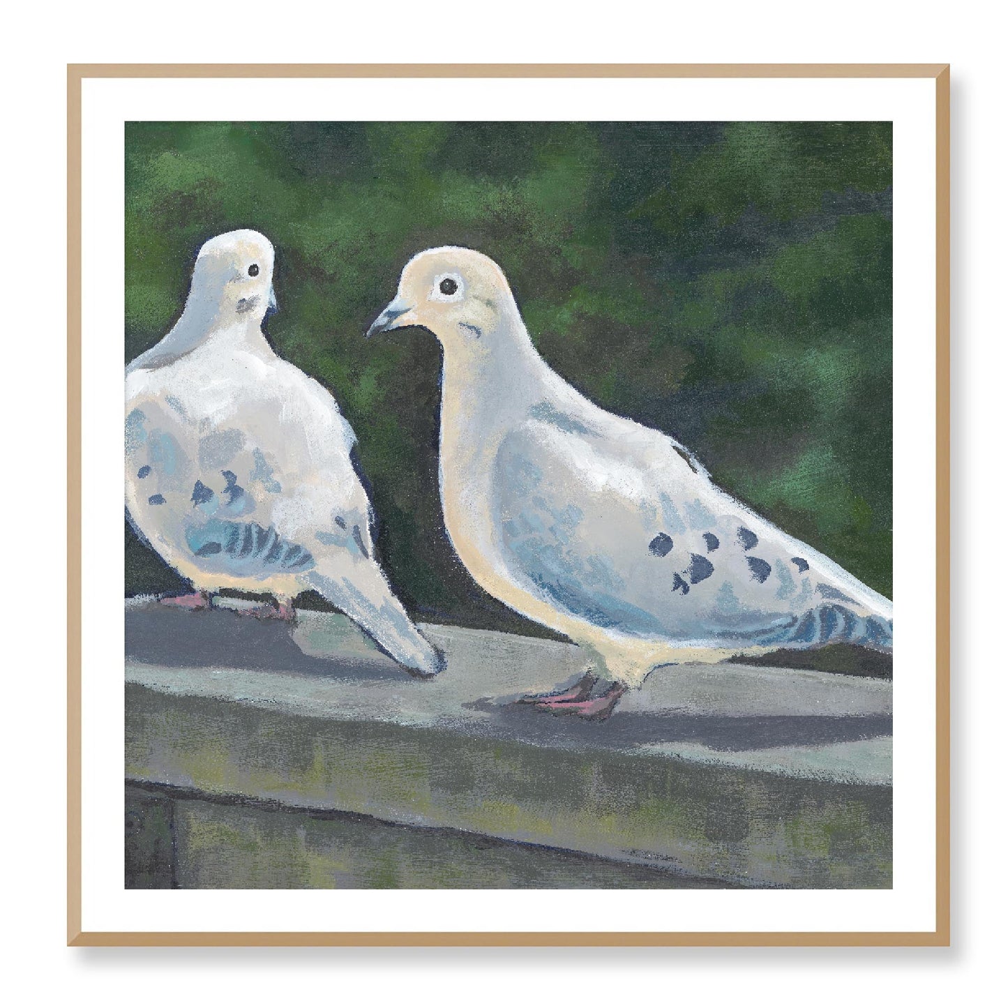 Framed Fine Art Print, White Mat - 12x12 16x16 20x20 24x24 28x28 32x32 36x36 40x40 inches | Mourning Doves in Acrylic, FPS-1000-1125, Prints, Fine art, White Frame, 102 x 102 cm ,40 x 40 inches