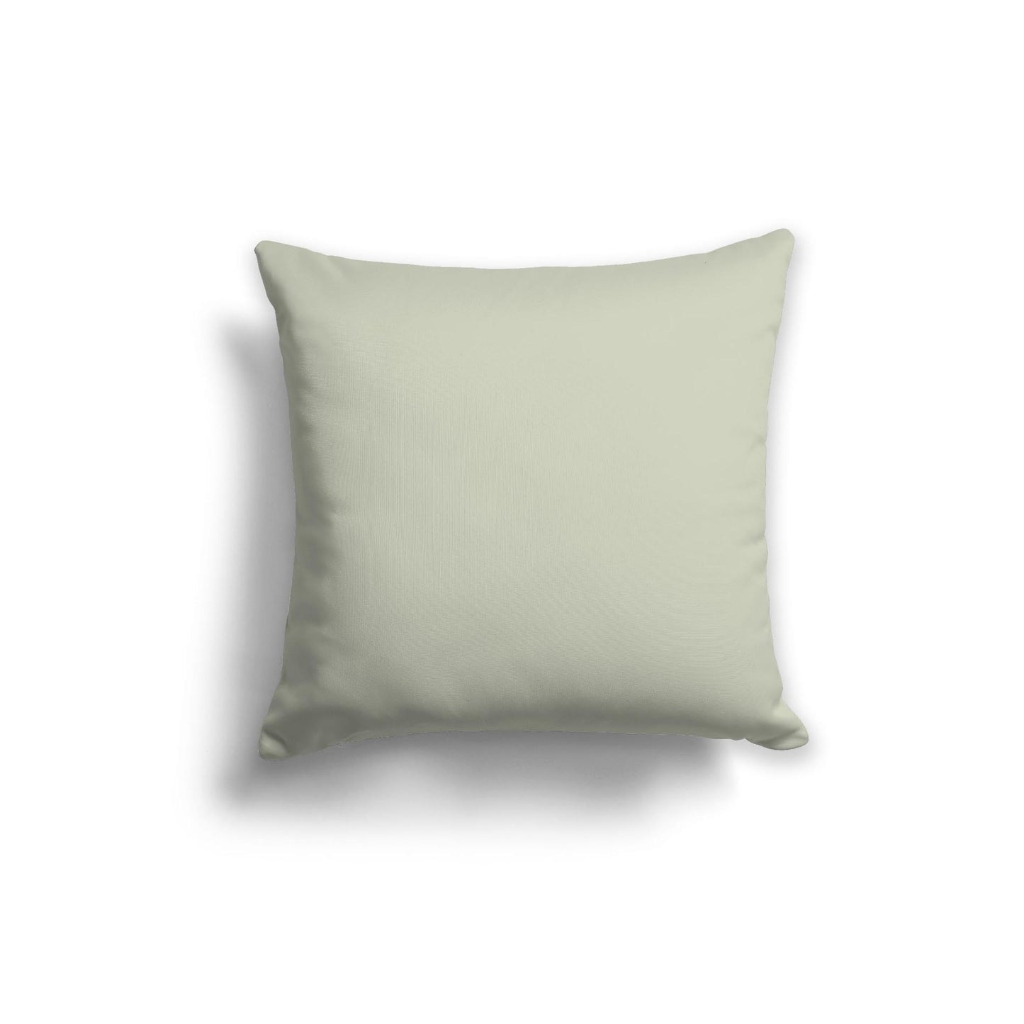Pale Green Spun Polyester Throw Pillow 20 x 20 inches / 51 x 51 cm