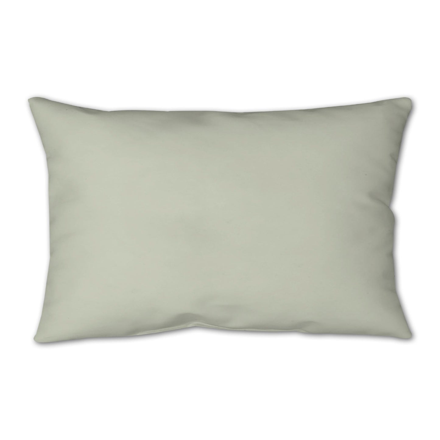 Pale Green Spun Polyester Throw Pillow 25 x 18 inches / 63.5 x 66 cm