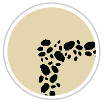 Black & Tan #1014-091